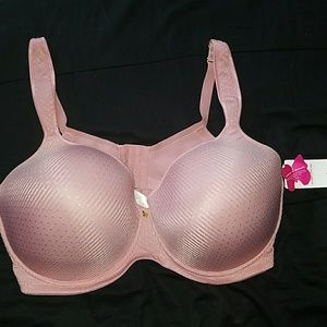 Ashley Stewart Butterfly Bra